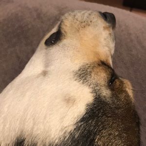 Meet your Posher, Karla